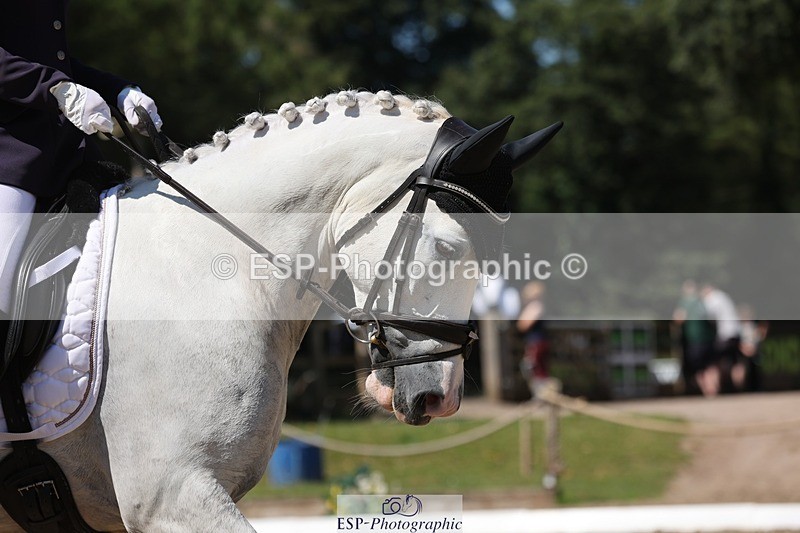 240719-111323-00913 - 215-Emma_Lomas-Hillgarth_Bombay_Saphire