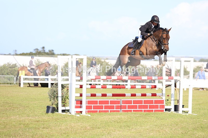 3E7A4324 - Class C: Showjumping Senior Foxhunter
