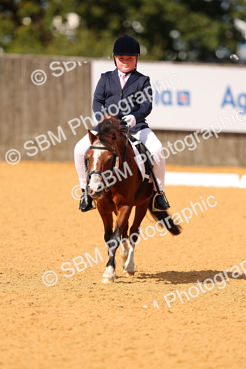 SBM_44068 - D22 - Junior Championship - Intro B