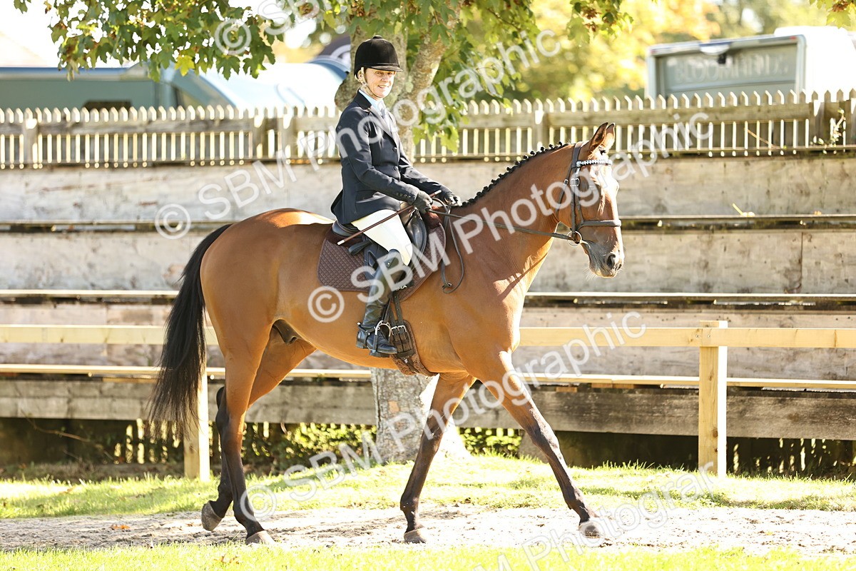 SBM_16990 - S2 - TSR Ridden Pony Showing