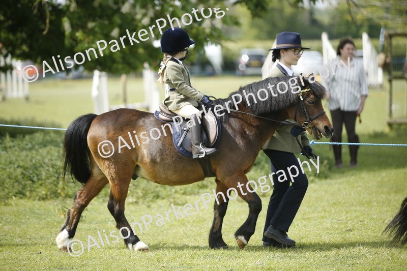 20260426-1857 - Class 7 - Pony Judge Would Most Like To Take Home