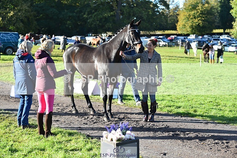 231022-101310-22310 - 468-PRIMITIVE.DAYLIGHT-Alexandra.Erskine.Scott-TrotUp+SJ