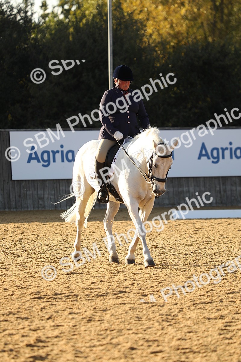 SBM_30453 - D20 - Grand Tour Championship - Elementary 44