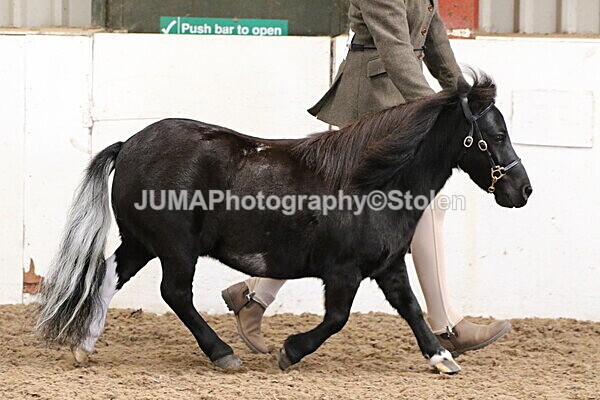 SIAL0628 - Small Arena - Saturday
