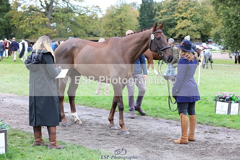 251026A-111030-25273 - G-503-Bethan.ODell