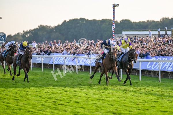111025-Race 7-Lets Dream-9084 - Race 7 Coral 'Committed To Safer Gambling' Finale Handicap at York