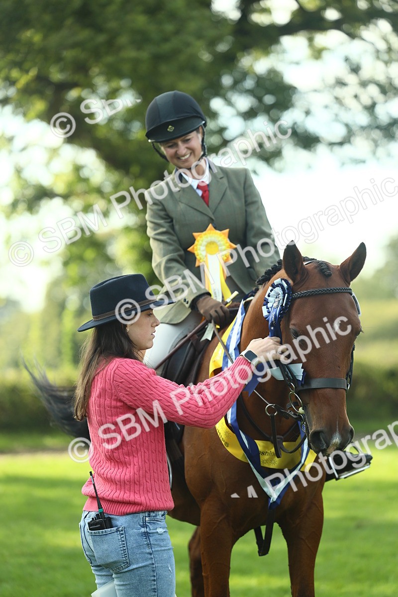 SBM_52297 - Working Hunter Supreme Championship