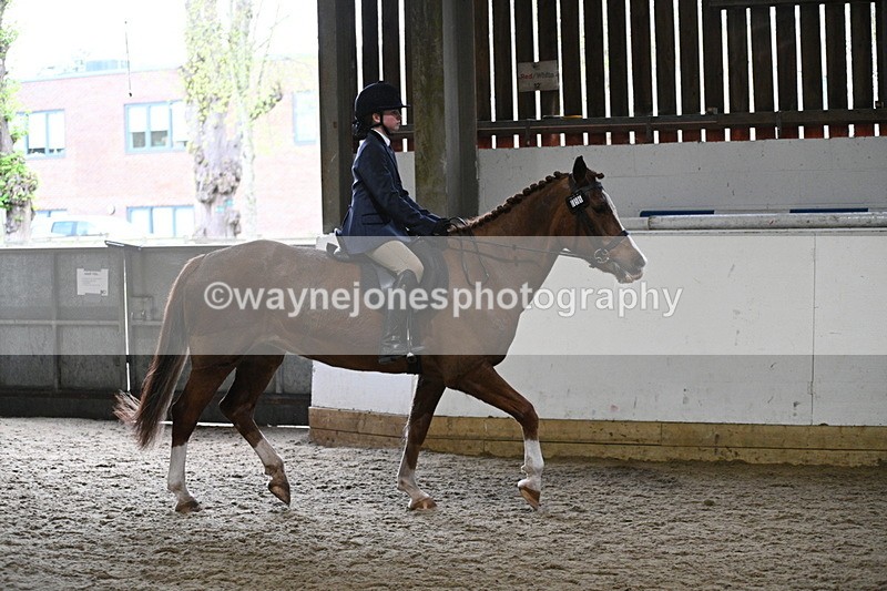 WJ7_3783 - Class 17 Ridden Cob