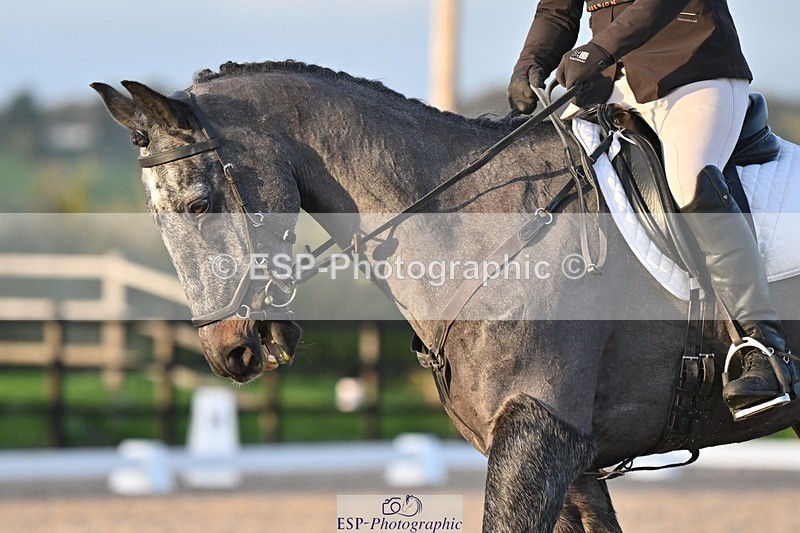 231105-155337-03962 - Cls 4 Novice 24 15.24 to 16.35 break