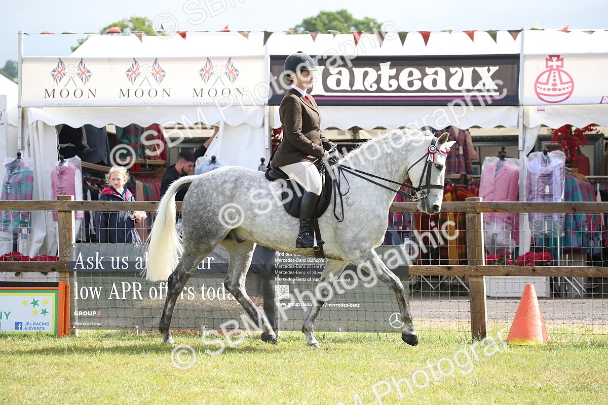 SBM_11503 - Class 95-96 - LIHS BSHA Rising Star Hack Riding Horse