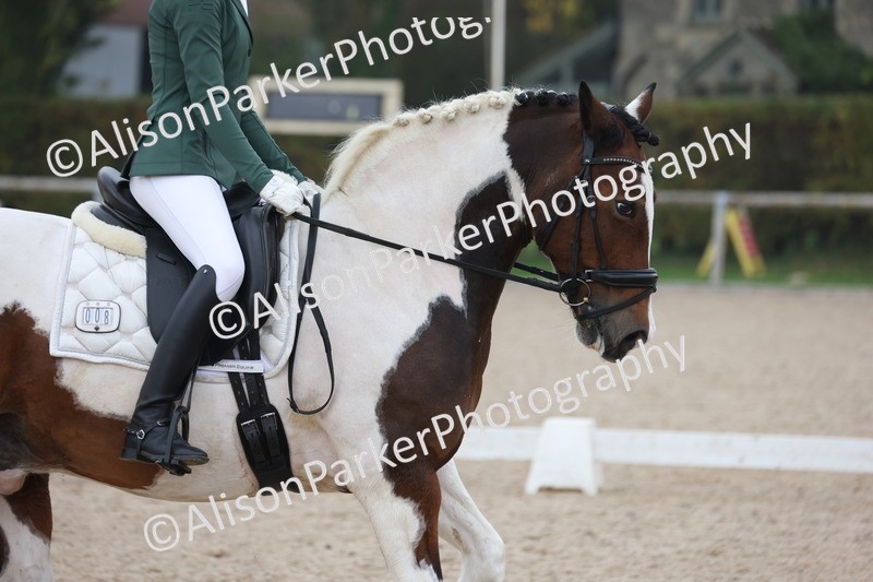 20251012-0693 - Class 6 - Elementary 6