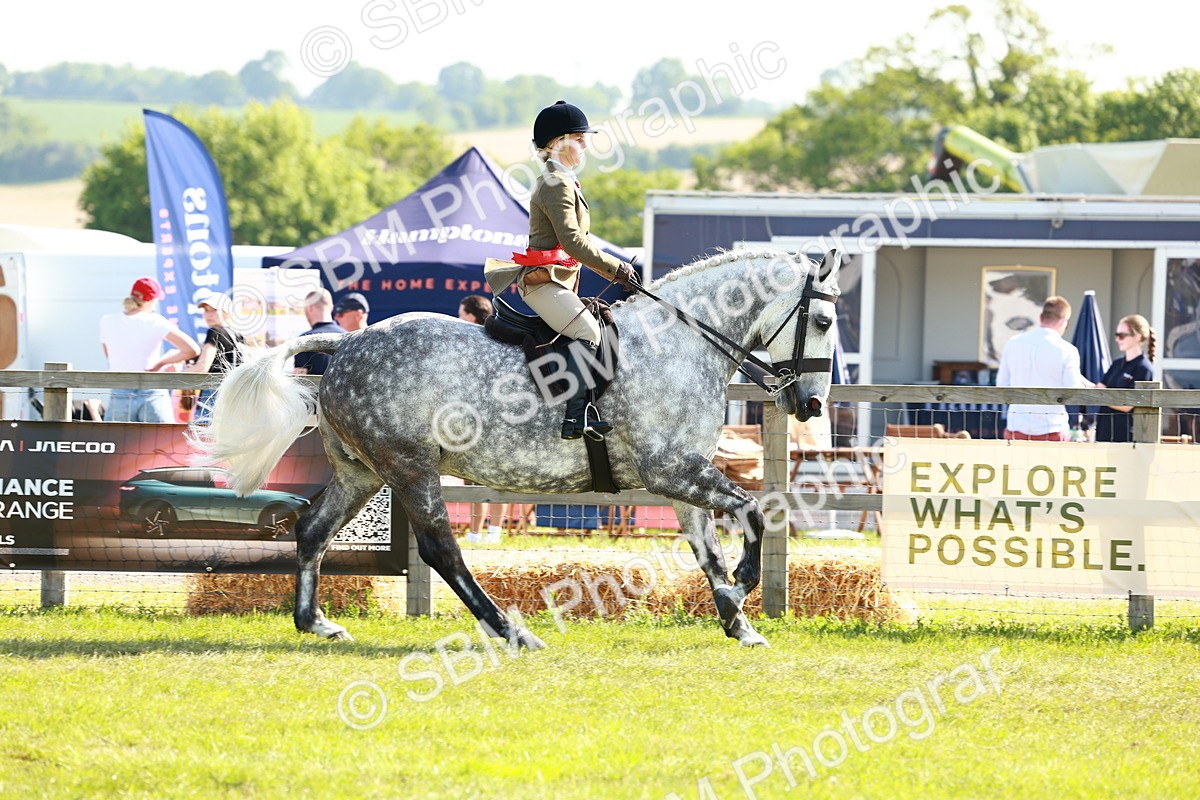 SBM_11912 - Class 66-69 - RIHS Ridden Hunters Inc Small Hunter