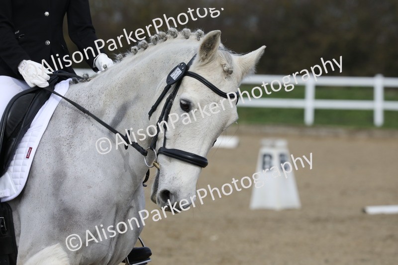 20260314-1992 - CT2 - Prelim 1