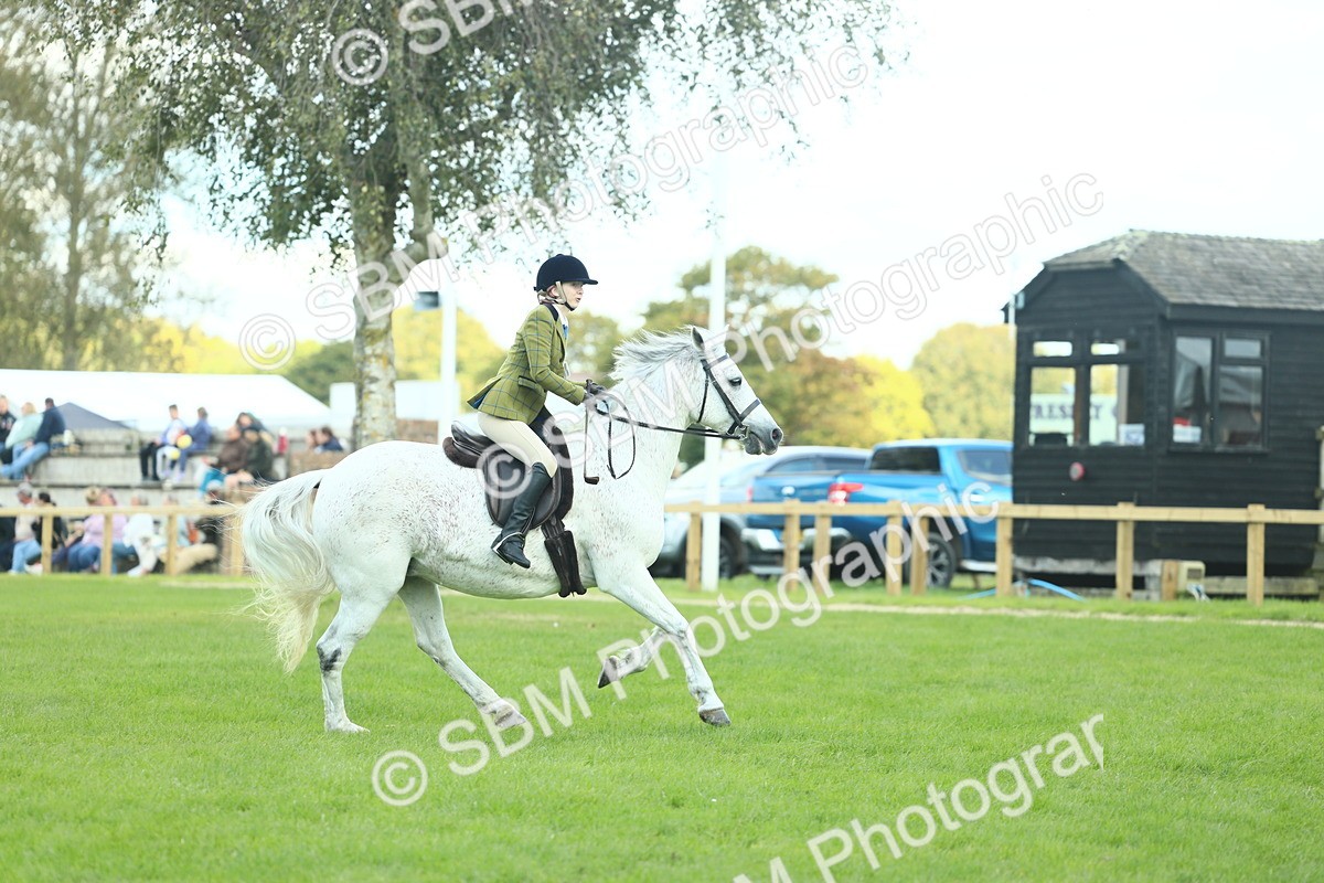 SBM_43025 - S30 - M&M Working hunter Pony