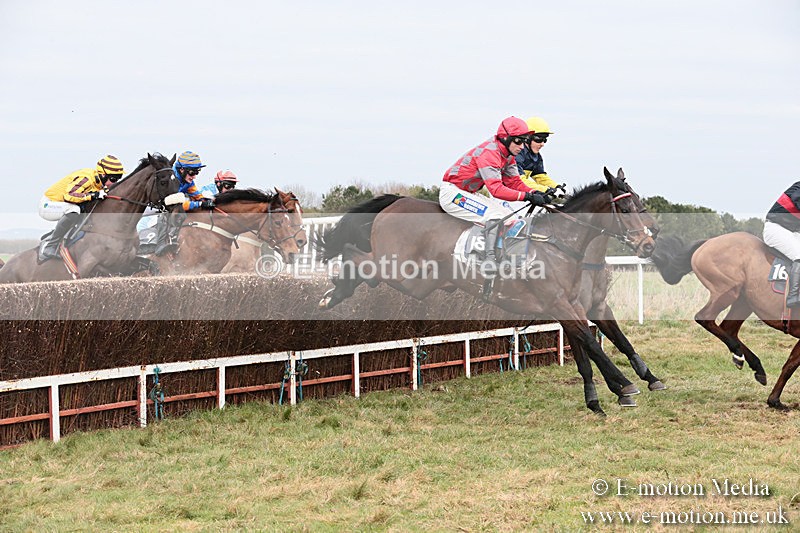 PtP 060119 260 - Larkhill Racing Club - Point-to-Point- 06/01/2019