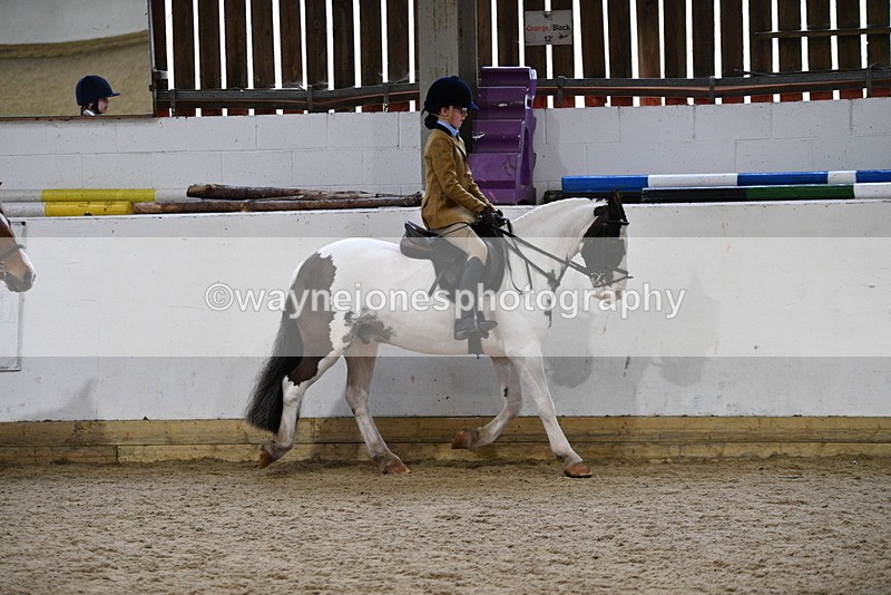 WJ5_7173 - Class 11 Ridden PC - RC Pony