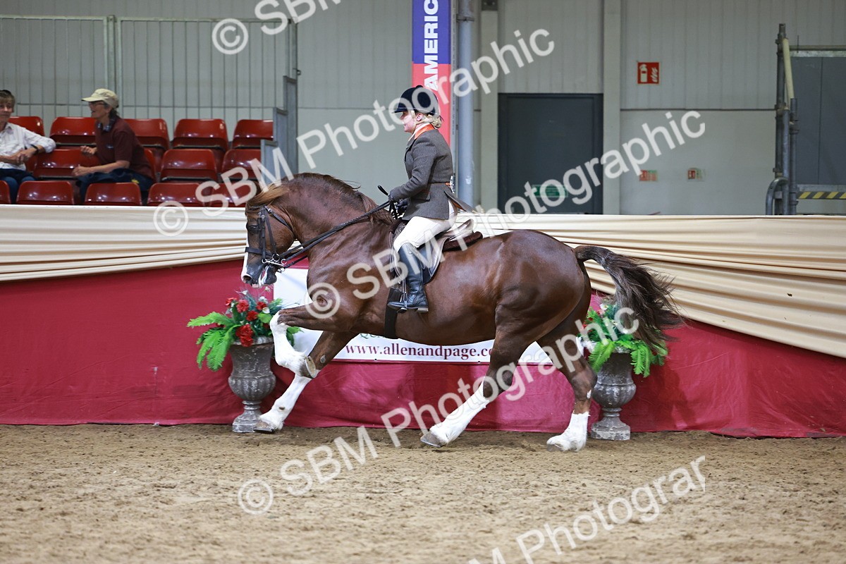 SBM_18760 - Class 952 - M&M Ridden Supreme Final