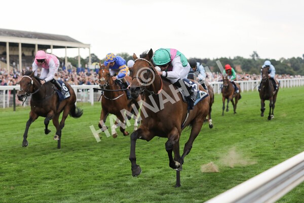 yr18082022r5-20 - Race 5 4.10pm British EBF & Sir Henry Cecil Galtres Stakes