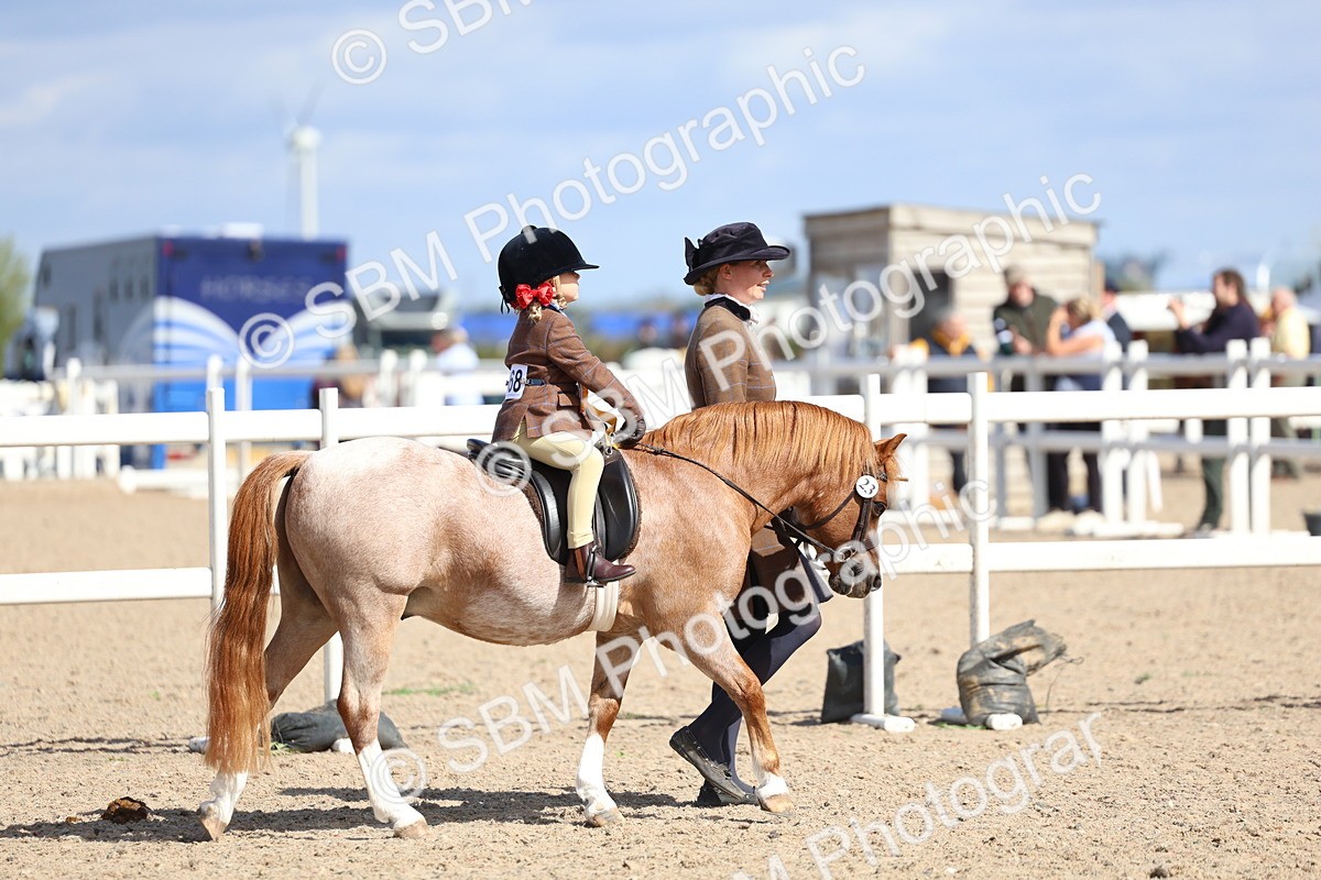SBM_13127 - Class 309 - Lead Rein Pony
