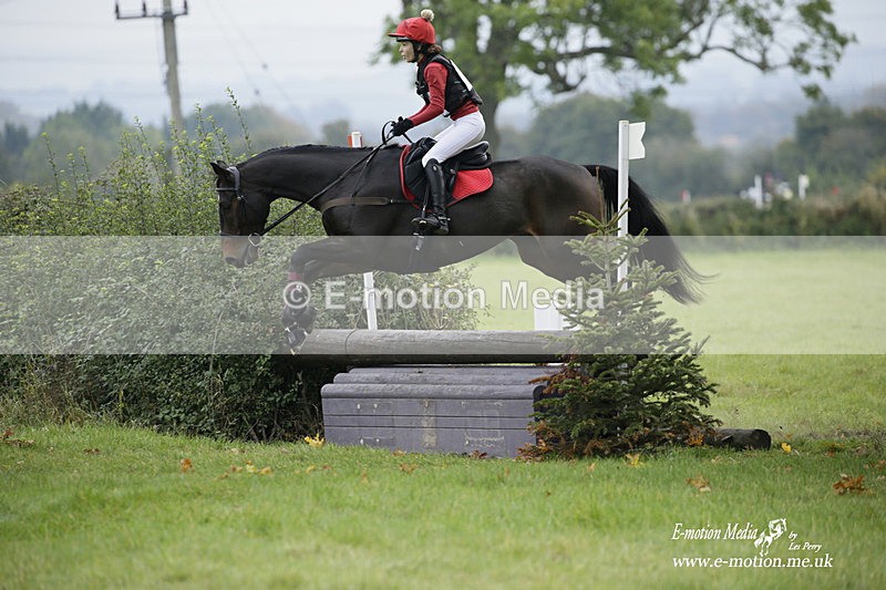  WWHT 171021 1100 - Open Novice (0.80m)  17/10/21