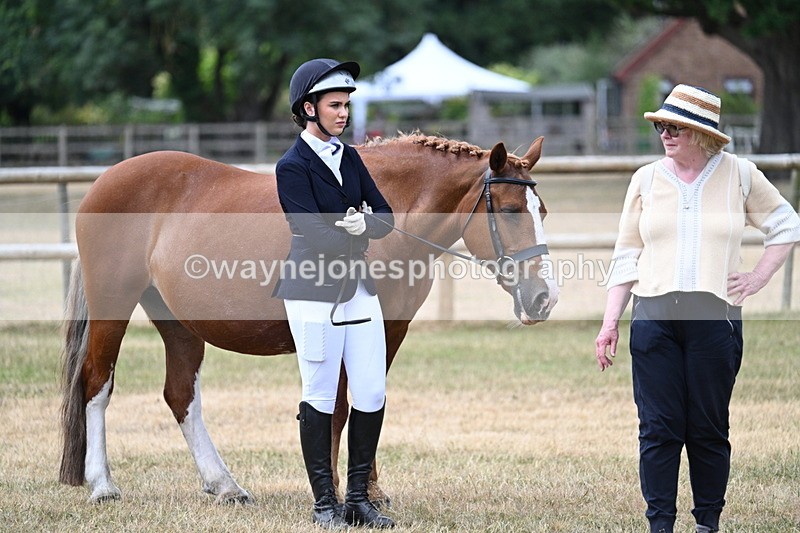 WJ7_1888 - Class 4a Prettiest Mare 14.2hh and over hand