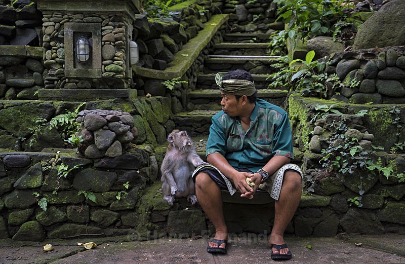  - Indonesia