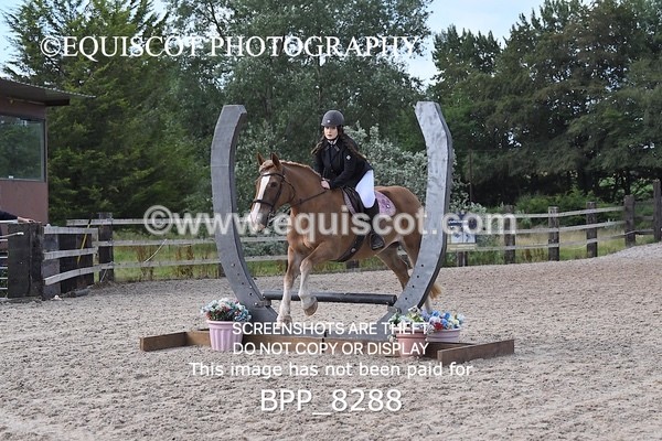 BPP_8288 - 50CM