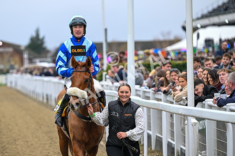 151125-Race 1-One Horse Town-2209 - Race 1
