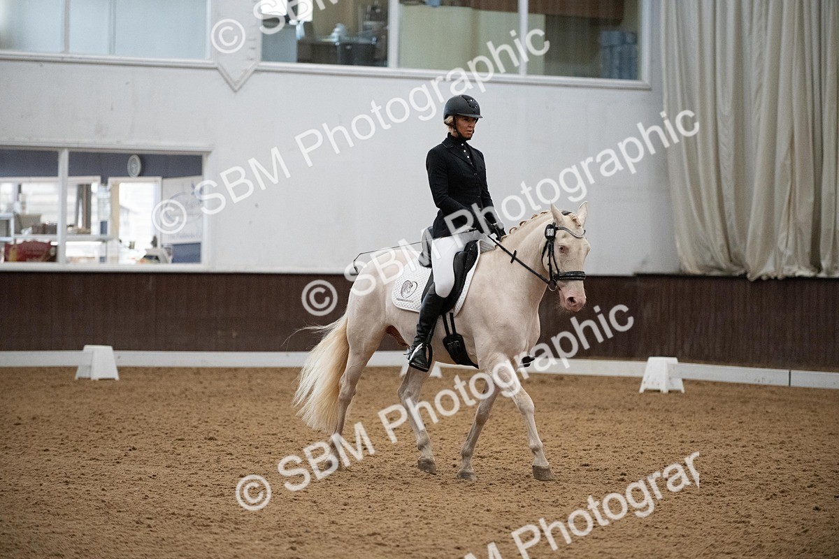 DSC_1091 - Class 2 - P4 (Now online)