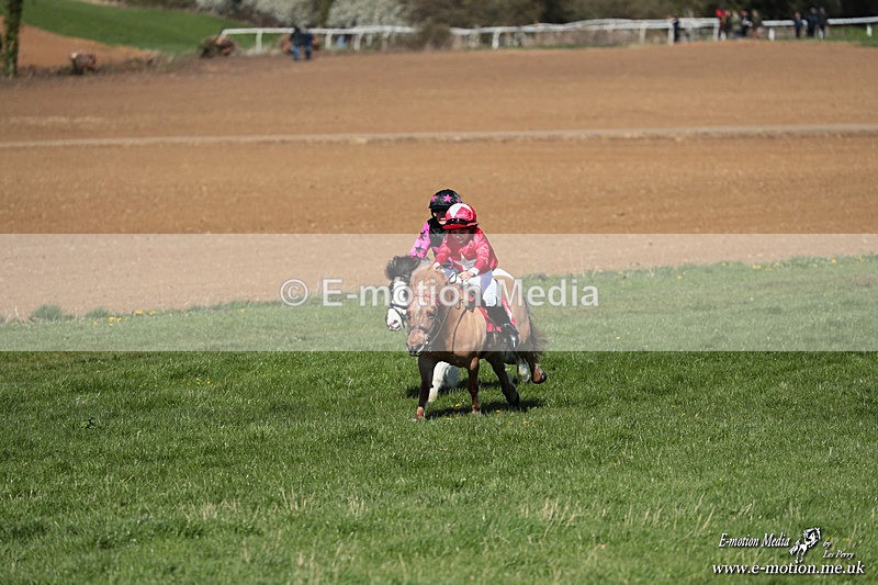 Shet 060426 150 - Shetland Pony Racing Paxford Races Easter Mon 06/04/26