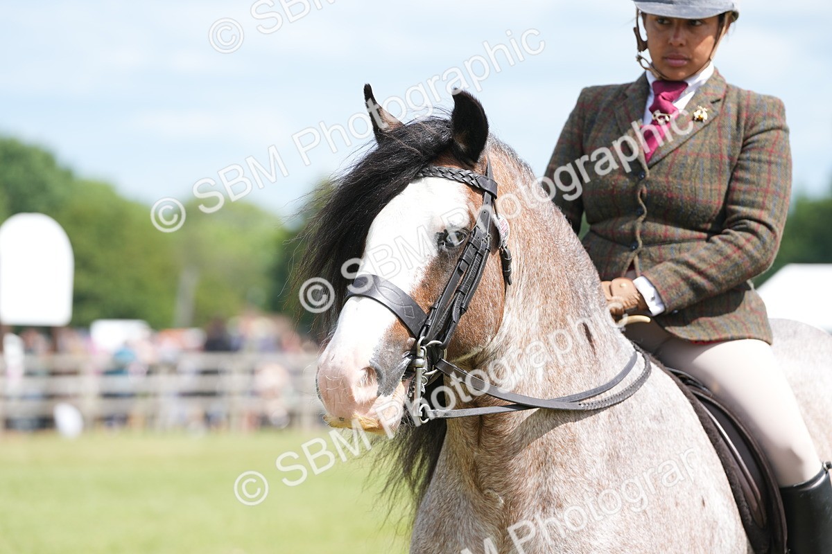 SBM_17192 - Class 107-108 - LIHS BSPS Performance Coloured Horse Pony