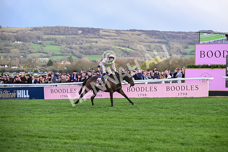 130326-Race 5-Gaelic Warrior-2622 - 13th March