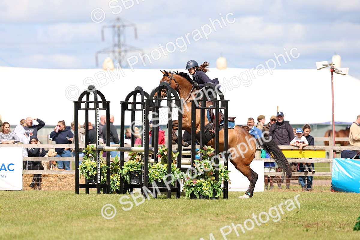 SBM_13672 - Class 206 - Senior Newcomers - 1.10m Open