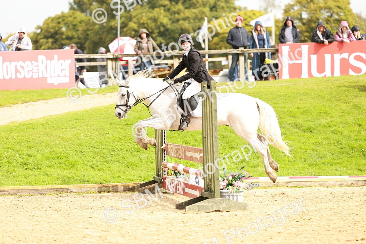 SBM_38390 - Supreme Championship 80cm 85cm