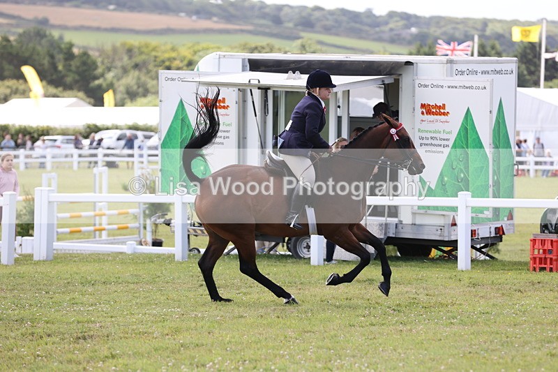 JPP_1371 - Class 17: Cornish Combination Open