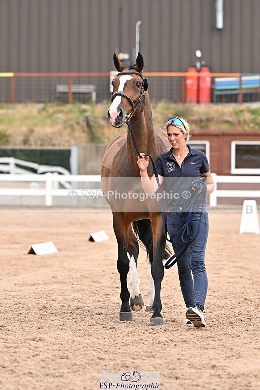 250716-151951-01876 - Trot Up 2.30 to 3.30