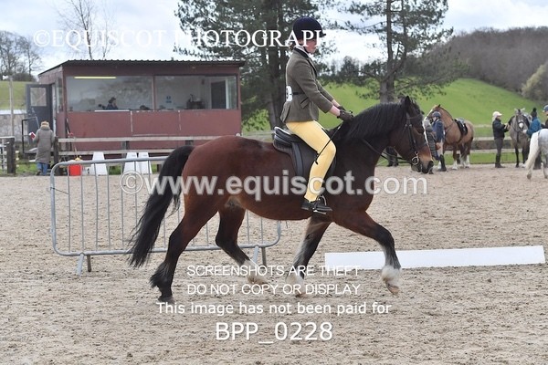 BPP_0228 - RING 2 - M&M