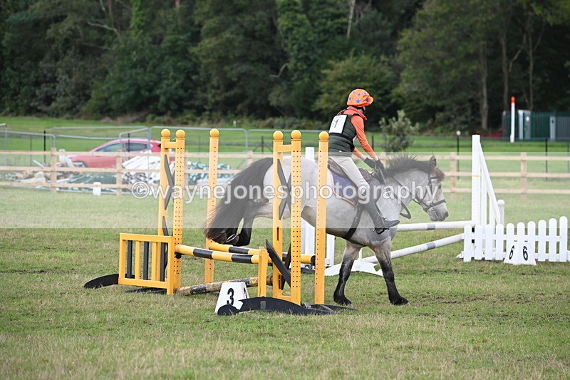 WJ6_1601 - 60cm Time 12:11 to 12:28