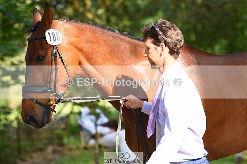 230524-172310-01481 - 180-GUEULE_DE_REVE-Arthur_Duffort-WEDTrotUp+DR