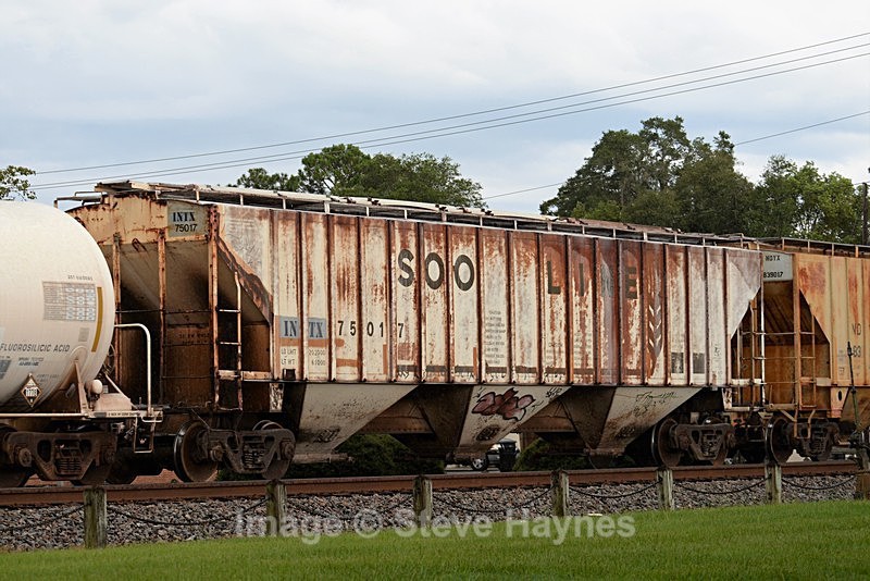 8th Aug 2017 - Folkston Funnel, GA