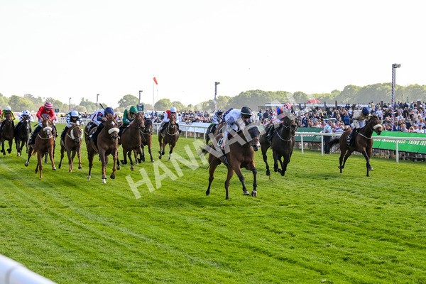 160525-Race 5-The Man-7018 - Race 5 4.15pm Irish Thoroughbred Marketing Handicap