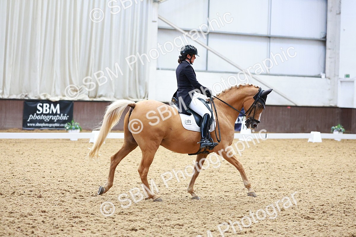 SBM_021297 - Class 25 - FEI PSG Bronze
