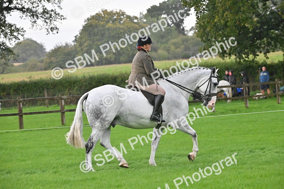 SBM_35686 - S16 - Top Turnout - Ridden