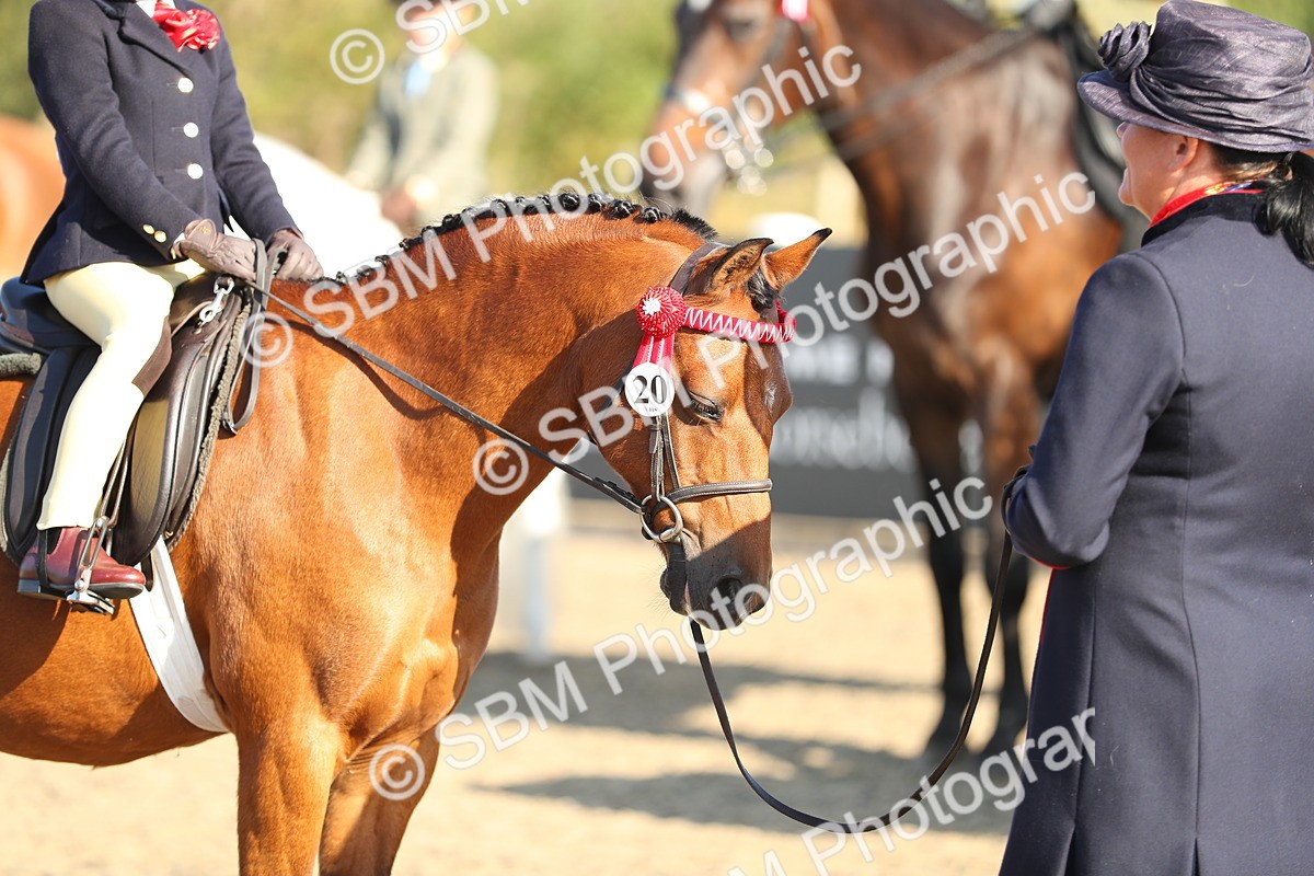 SBM_00382 - Class 41 Best Turned Out Ridden