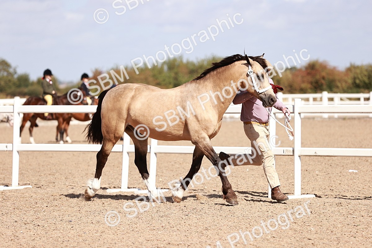 SBM_22975 - Class 707 - IH groom Helpers Class
