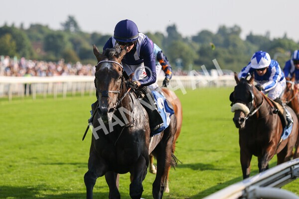 yr05092021r6-12 - Race 6 4.50pm Hanson Spring Stakes