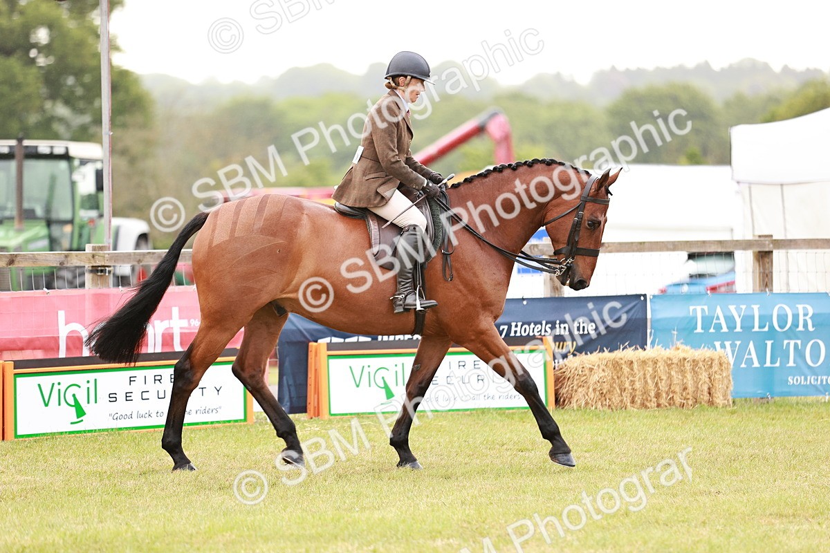 SBM_10739 - Class 81-84 - RIHS Ridden hunters Inc Ladies Hunter