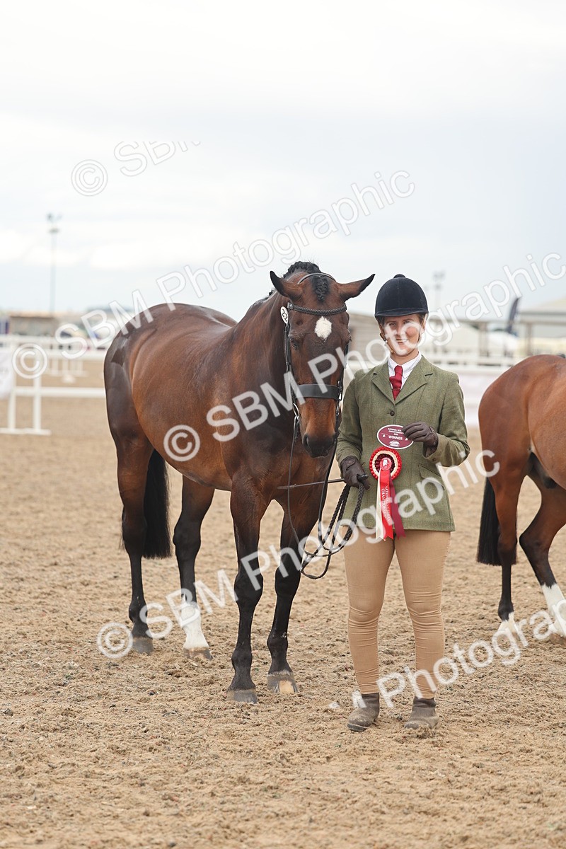 SBM_07937 - Class 28 - IH Veteran Horse