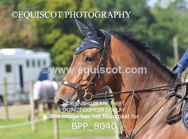 BPP_8040 - CLASS 4 Senior Discovery/ 1m Open