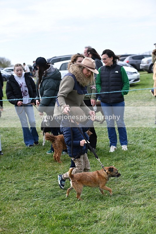 WJ5_0304 - Class 7 Best Terrier